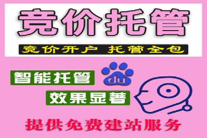 案例剖析：SEM推广竞价代运营助力企业拓展业务领域